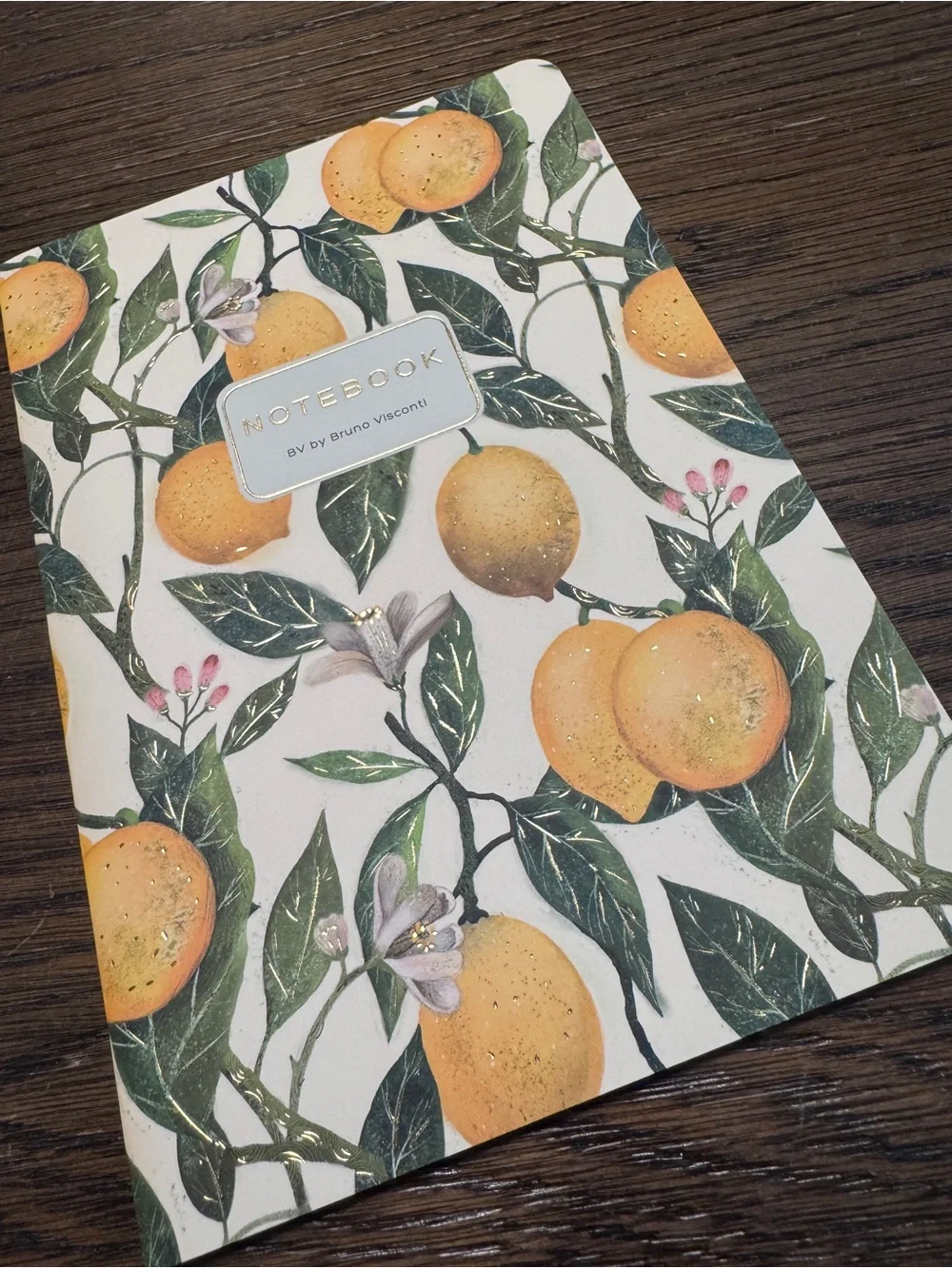 BV by Bruno Visconti these notebooks